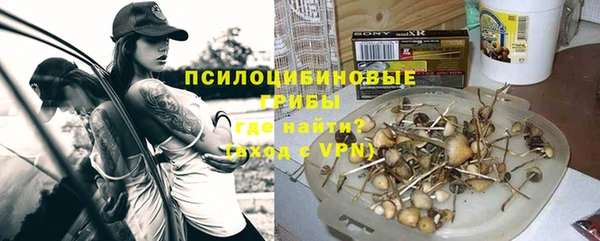 амф Алексеевка