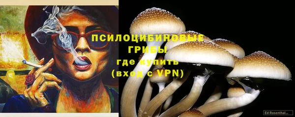 амф Алексеевка