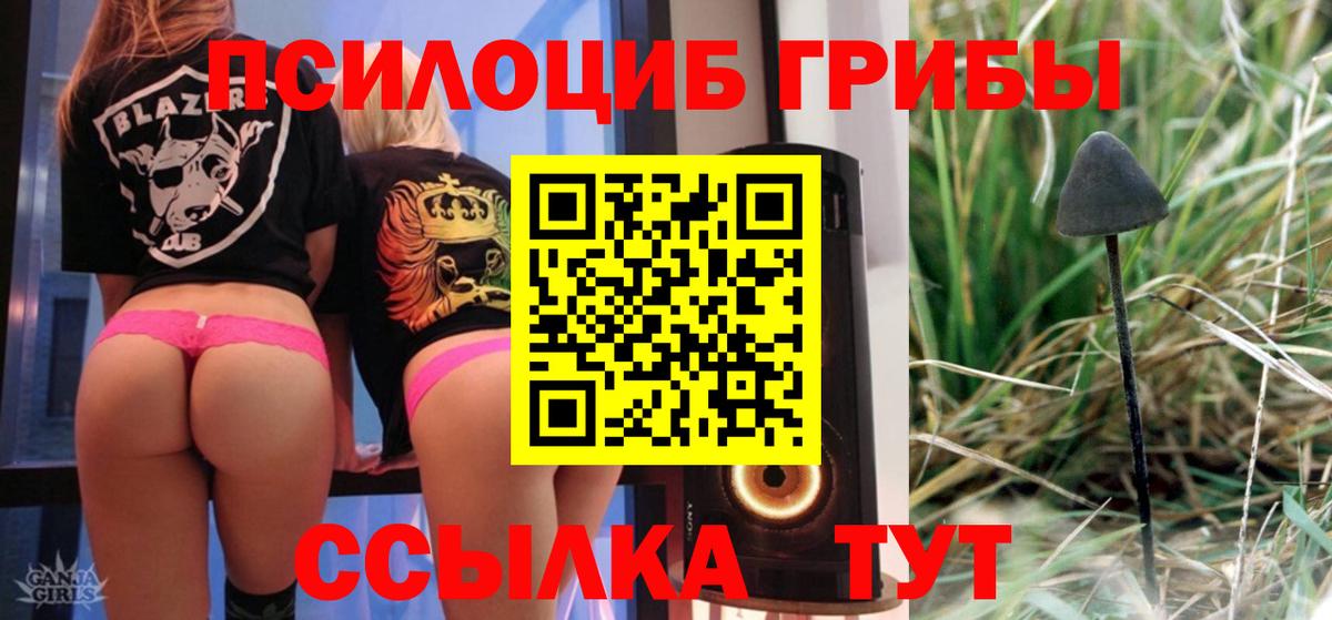 Галлюциногенные грибы мицелий Крымск