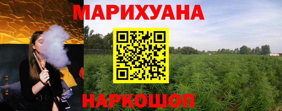 Бошки Шишки MAZAR Крымск